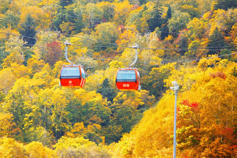 札幌国際スキー場　紅葉