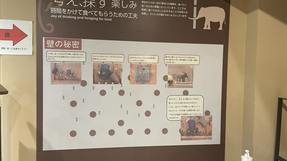 円山動物園ゾウ舎