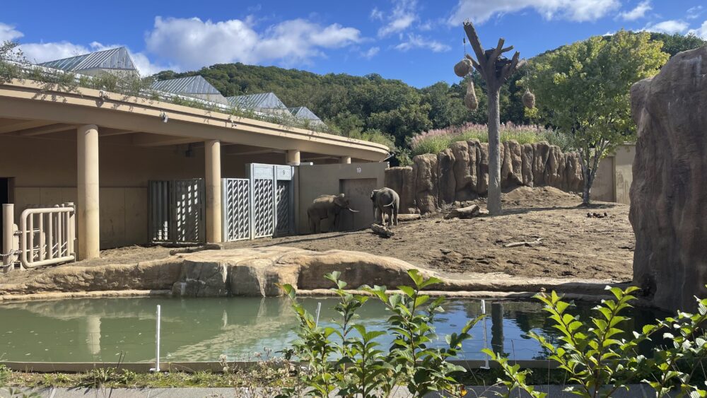 円山動物園ゾウ舎