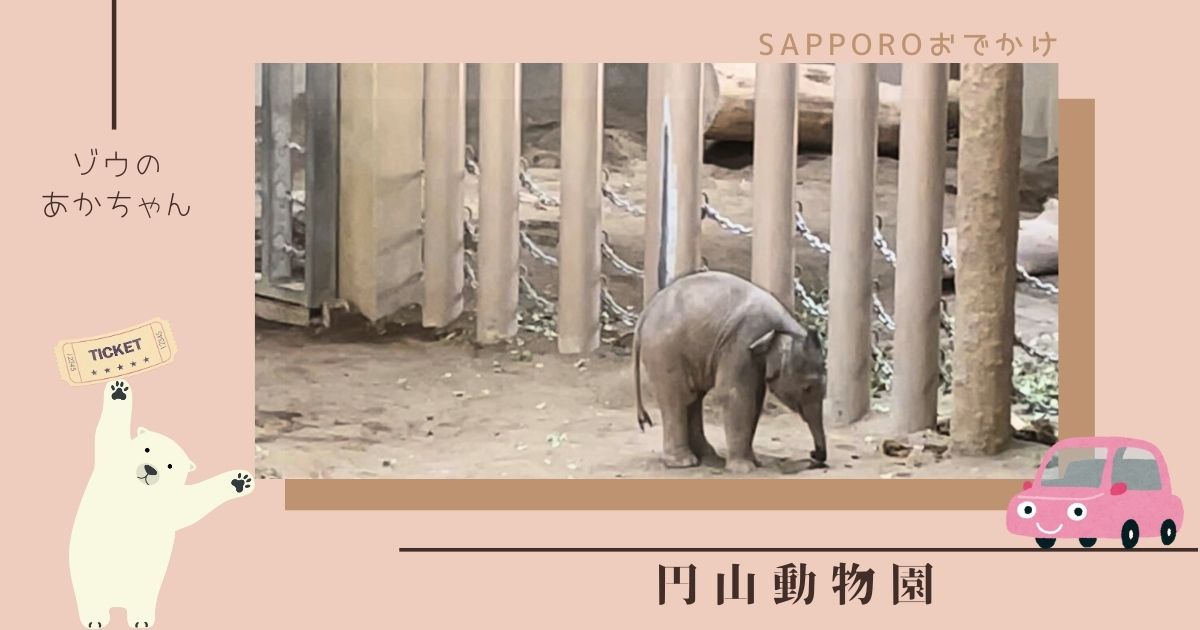 円山動物園ゾウの行列は？ゾウ舎の様子や待ち時間についても