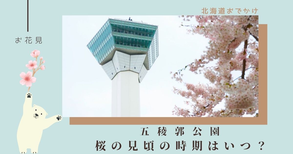 函館五稜郭公園の桜の見頃はいつ？周辺の観光スポットについても