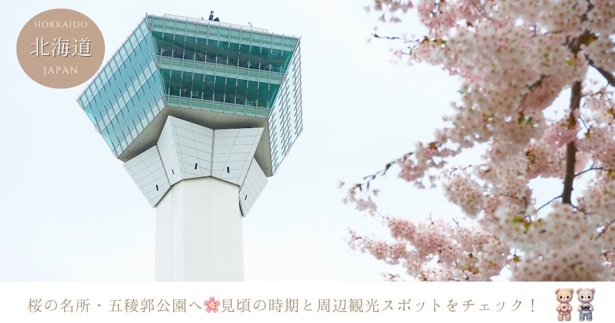 函館五稜郭公園の桜の見頃はいつ？周辺の観光スポットについても