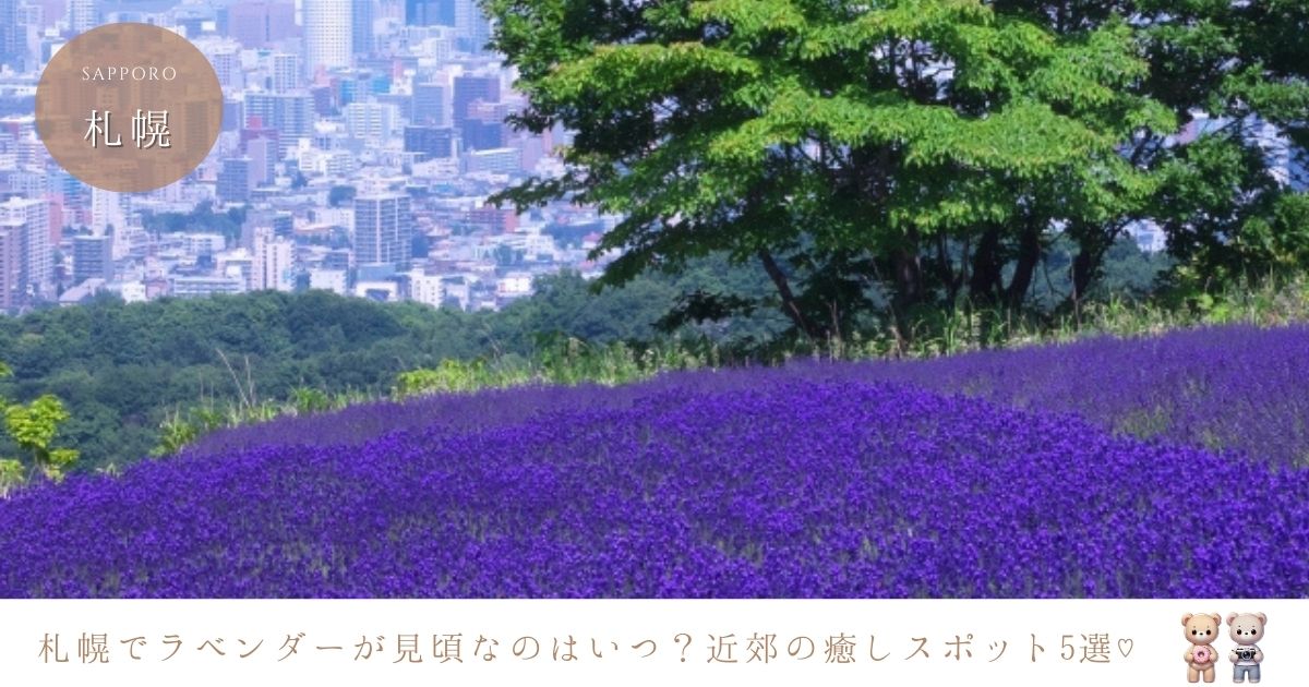 札幌でラベンダーが見頃の時期はいつ？おすすめラベンダー畑5選
