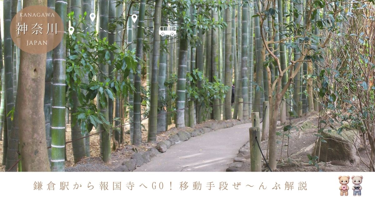 鎌倉駅から報国寺までのアクセスは？徒歩・バス・タクシーでの移動手段を徹底解説