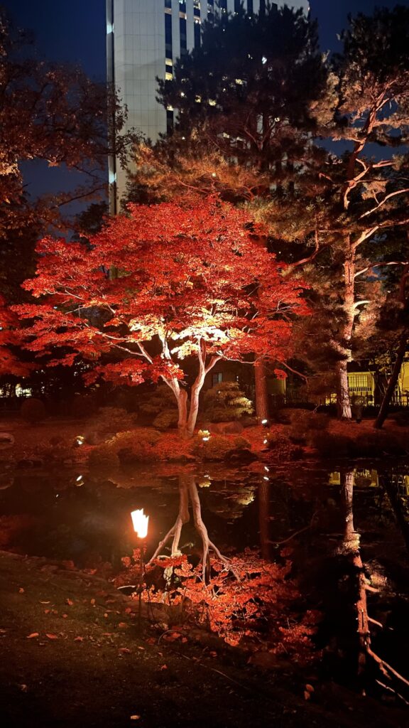 日本庭園の幻想的な景色