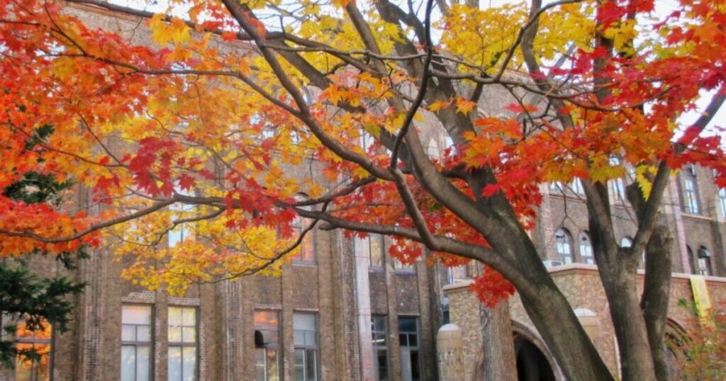 北海道大学博物館