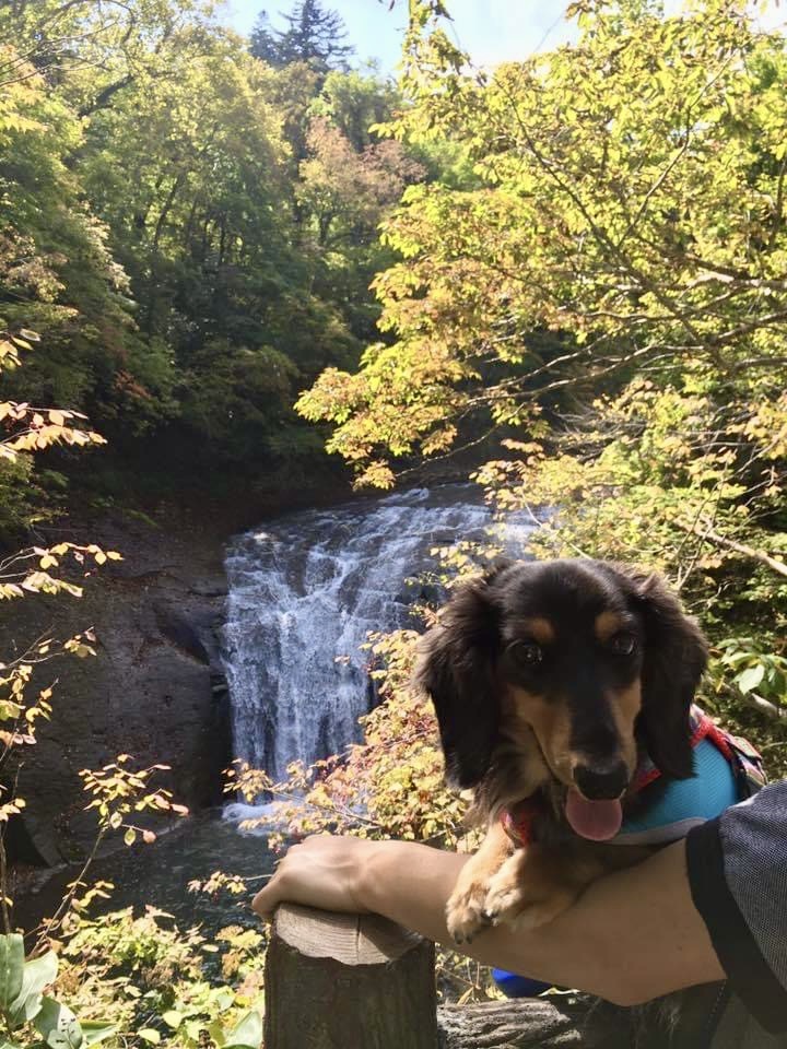 数年前の10月上旬の風景