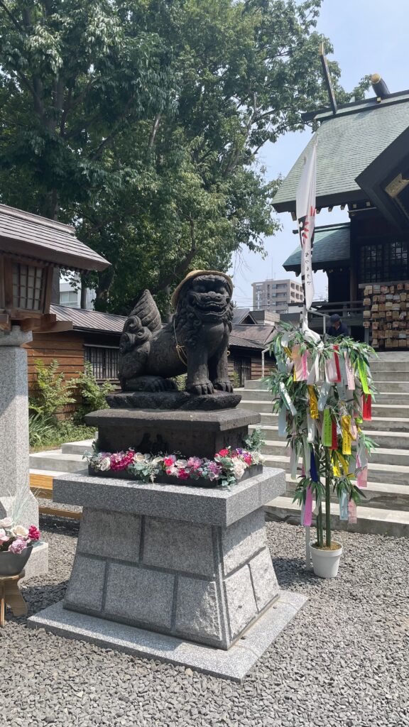 札幌諏訪神社　夏の狛犬さん