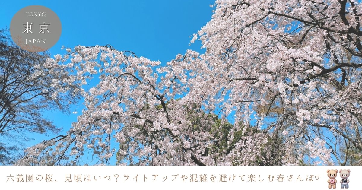 六義園の桜2025年の見頃はいつ？開花状況やライトアップ情報・混雑回避のコツも！