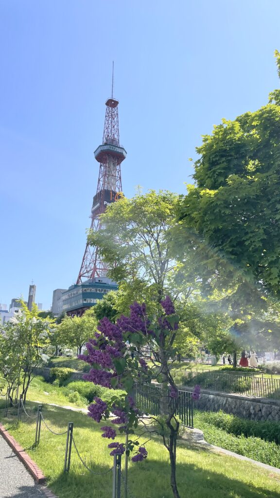ライラックとテレビ塔