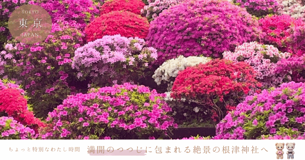 根津神社のつつじ祭り2025の見頃はいつ？アクセス・混雑回避のコツまで徹底レポ