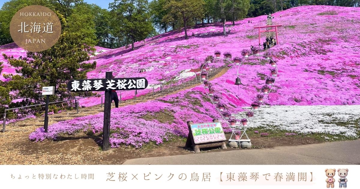 北海道の東藻琴の芝桜の見頃はいつ？ピンクの鳥居と春絶景さんぽ