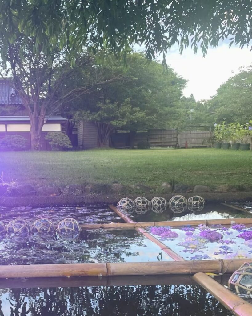 松前浮き紫陽花