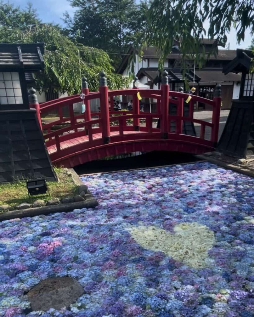松前浮き紫陽花