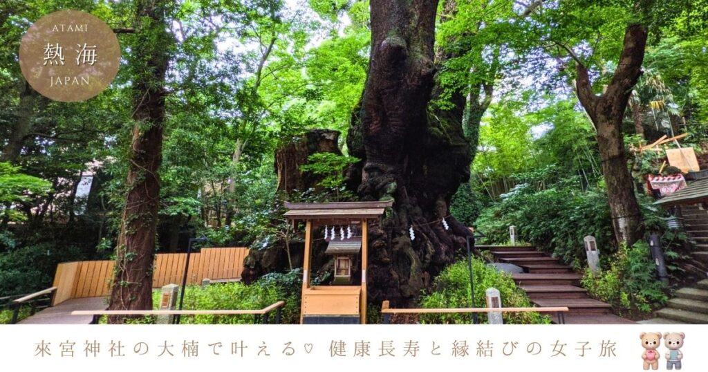 来宮神社の大楠で願いが叶う♡癒しのパワースポット女子旅