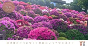根津神社つつじ祭りの見頃はいつ？混雑を避けるコツとアクセスまとめ♪